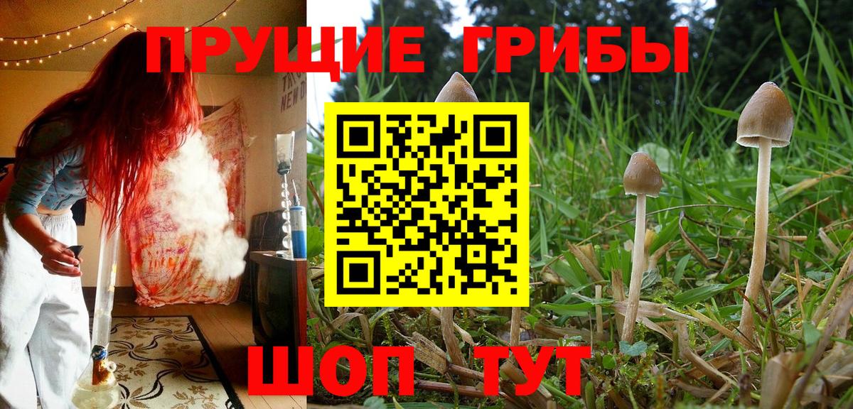 Галлюциногенные грибы Psilocybine cubensis  Вход с VPN  Галлюциногенные грибы Magic Shrooms  Бирск 